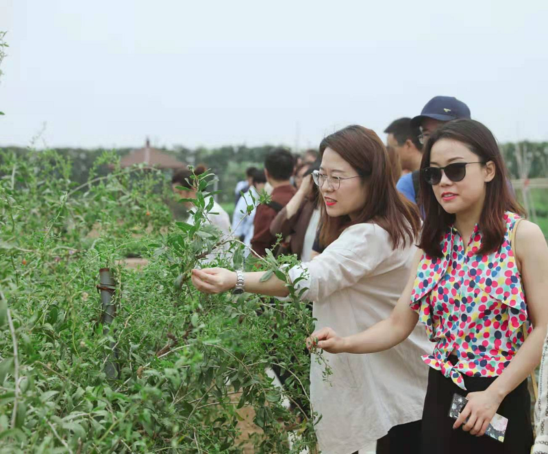 新浪家居“質(zhì)造行”，共證得高品牌力量，推動品質(zhì)持續(xù)升級 圖片2