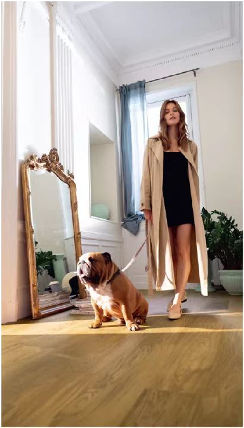 “寵物友好型”地板，得高Quick-Step無懼生活考驗 圖片 8