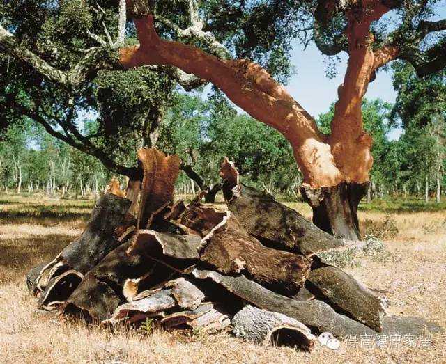 你可以永遠相信得高品質！ image4