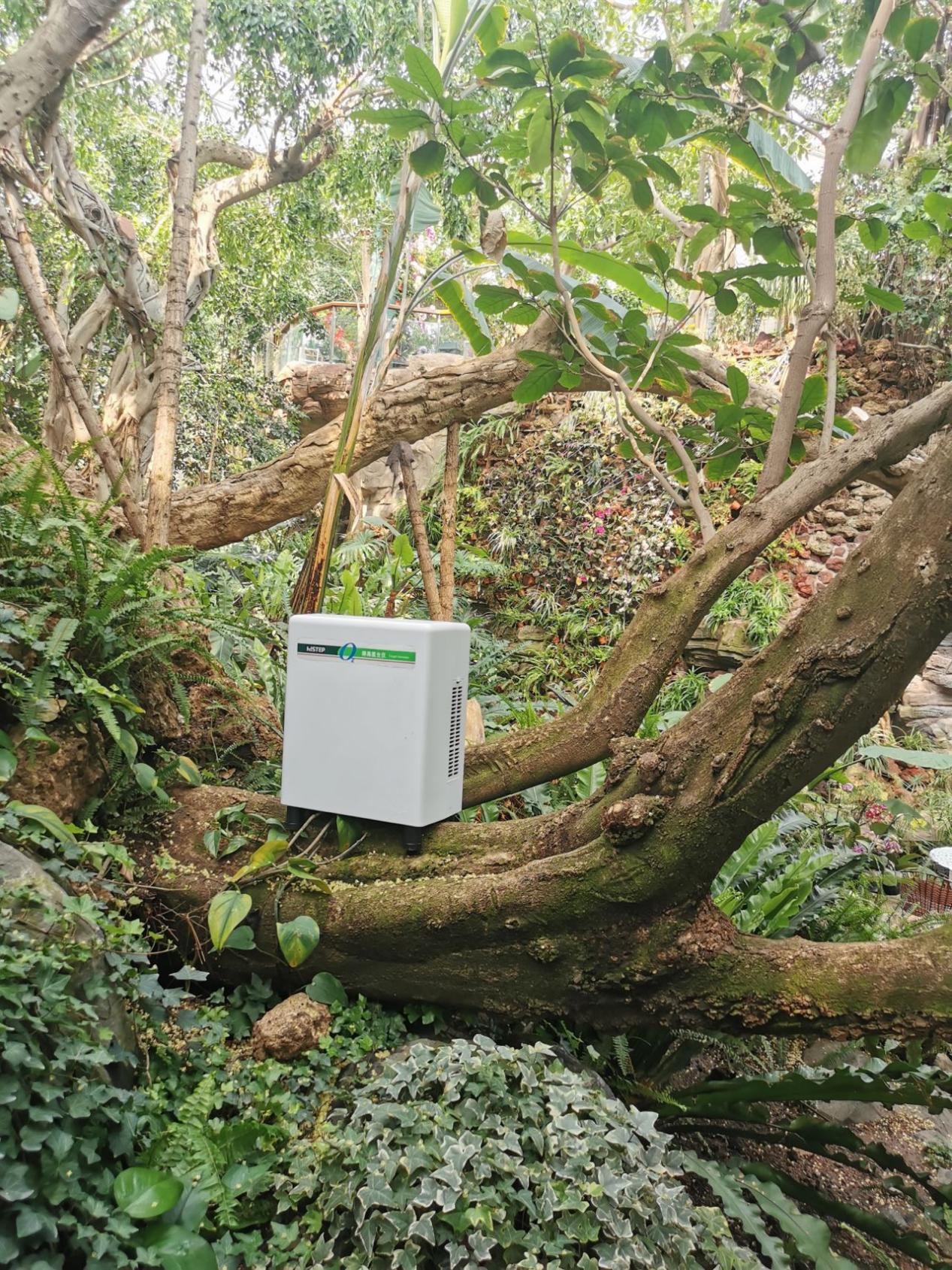 居家也要暢快呼吸，得高教你實現(xiàn)科學(xué)補氧！ image3