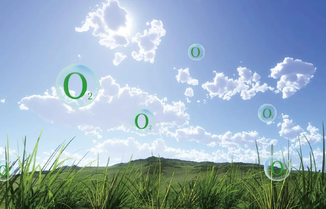 因愛而生，富氧中國|得高以氧創有夢未來 4