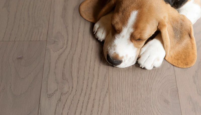 實(shí)木復(fù)合地板重新定義了高品質(zhì)生活的標(biāo)準(zhǔn) 圖片4